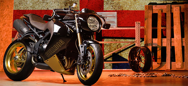 Speed Triple Bulldog by Vilner.jpg